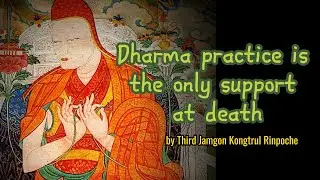Dharma practice is the only support at death by Third Jamgon Kongtrul Rinpoche