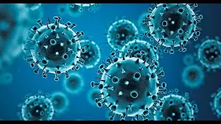Global Influenza Programme (FluNet) - Understanding Global Influenza Dynamics