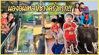 พาอินเทลขี่ช้างครั้งแรก! ตะลุย SRIAYUTHAYA LION PARK | Intel's Diary