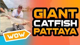 PATTAYA FISHING PARK