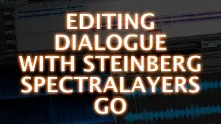 Editing Dialogue Audio With Steinberg SpectraLayers Go
