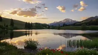 Relaxing Music to Relieve Stress 💖 Anxiety and Depression 💖 Heals The Mind, Body and Soul 💖 # part 2