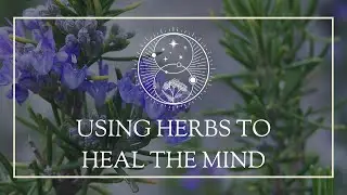 Using Herbs to Heal the Mind