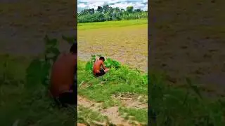 best funny peeing video #shorts #funnyshorts #comedyvideo