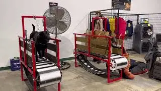 Altitude K9 training