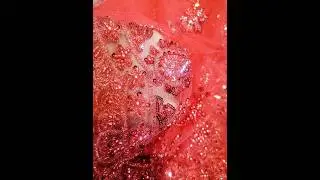 Master lace and piko