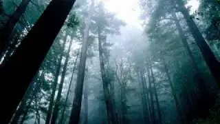 Темноврат - В молчании северных лесов