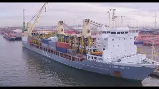 Conceptum Logistics   Straddle carriers