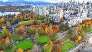 Vancouver Fall 2025 (Stanly Park)