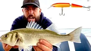 Lure fishing for bass / mackerel. Small boat fishing uk 🇬🇧