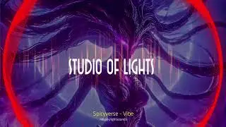Spicyverse - Vibe - Mixed by  STUDIO OF LIGHTS