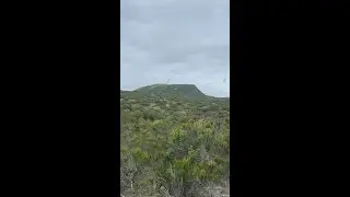Monkey Flower Trail
