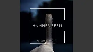 Lite vennlig