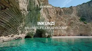 millforlife & MUSHROOMZ - Inkunzi (Music Video)