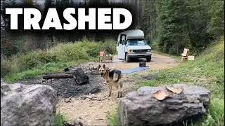 Raw Vanlife: кемпинг без мусора, ядовитые ягоды и тестирование нового солнечного оборудования