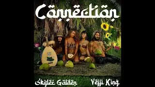 Vejji King - Connection ft. Skyler Golden (Official Audio)