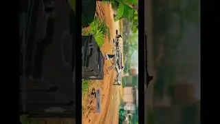 The best peacekeeper MK2 build😱😱😱!!!#shorts #codmobile