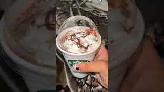 Best starbucks drink 🤎 | for ₹190 | Tall | caramel java chip frappuccino | #shorts #starbucks