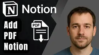 How to Import a PDF in Notion (2025 Step-by-Step Beginner Tutorial)