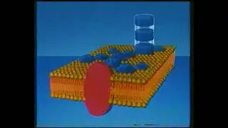 ZDF 1988 Abenteuer Forschung Joachim Bublath Die Reise zum Mars