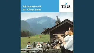 Kleiner Wiener Heurigenmarsch