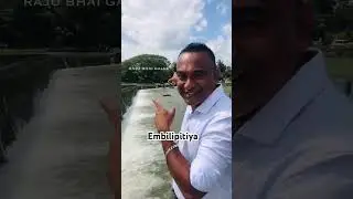 Embilipitiya Chandrika Wewa  #shorts