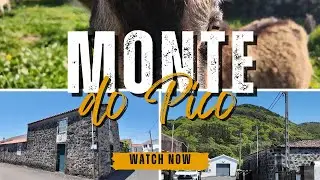 This 400-Year-Old Azorean Village Still Has Its Original Homes | Here's Why