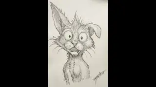 Frenzy Cat &ndash; Real-Time Pencil Drawing + One-Take Guitar Jam (36 Min)