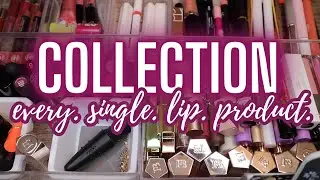 COLLECTION & DECLUTTER 2024 || Going through over 250 Lip Products🤪