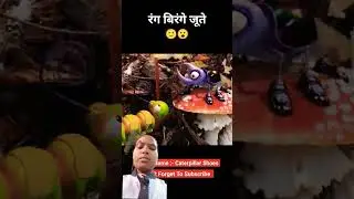rang birange jute #cartoon #trending #shortvideo #viralvideo