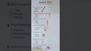Bones Quiz - Can you get 7/7? #quiz #bonequiz #bone #medicalquiz #usaquiz