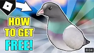 (ROBLOX EVENT) HOW TO GET THE VANS PIGEON SHOULDER PET ACCESSORY + BADGE IN (VANS WORLD)