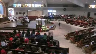 Most Precious Blood Catholic Church Denver Live Stream