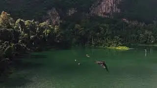 Khaosok Boutique Hideaway &ndash; Luxe glamping in Khao Sok - Green Wood Travel Thailand