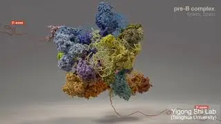 RNA Splicing at Atomic Resolution