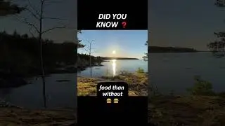 Sleep Deprivation Is Deadlier Than Hunger 💀 #didyouknow #humanbody #factshorts #shortsfeed #shorts