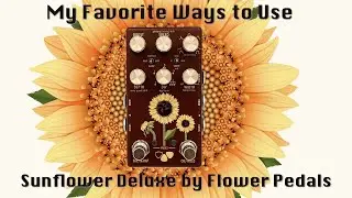 My Favorite Ways to Use Sunflower Deluxe by Flower Pedals