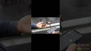 Magnet fishing finds lead to police involvement! #mmmdrop #sowedecided #fyp