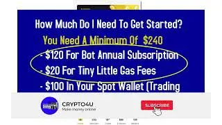 How To Set Up Royal Q Trading Bot Step By Step Complete Guide!