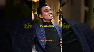 Why you should not take Antibiotics? | Dr. Pal | BeerBiceps #shorts