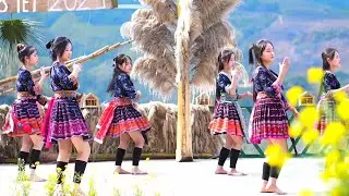 Nyob Li Cas Lawm Leej Muam//Nkauj Hmoob Ceeb Tshav Seev Cev Tsiab 30 caug 2025
