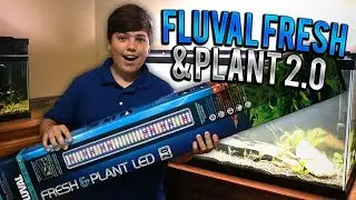Setting Up The Fluval Fresh & Plant 2.0
