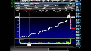 Tim Sykes Teaches How to Trade Pump and Dumps