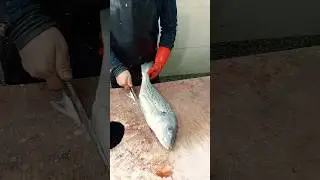 Spangled Emperor Fish Cleaning & Cutting