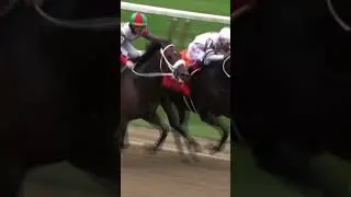 HORSE BITES RIVAL MID-RACE! 😬 | WATCH AS FIRENZE FIRE CLASHES WITH YAUPON | 🎥 NYRA