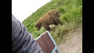 Amazing Wild Animal Encounters 😮 | Scary Wild Animal Encounters | Animal Encounter | Wild Animal