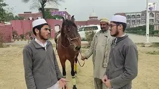Horse Riding in AAS Academy Lahore