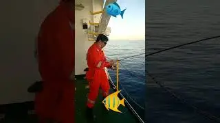 Way Lingaw (echo sounder-fish finder)