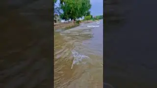 Karnataka nodi ka video