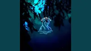 We Will Dance Again